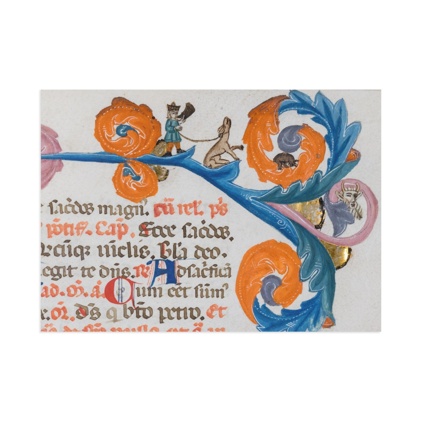 Hues of the Manuscripts Postcard