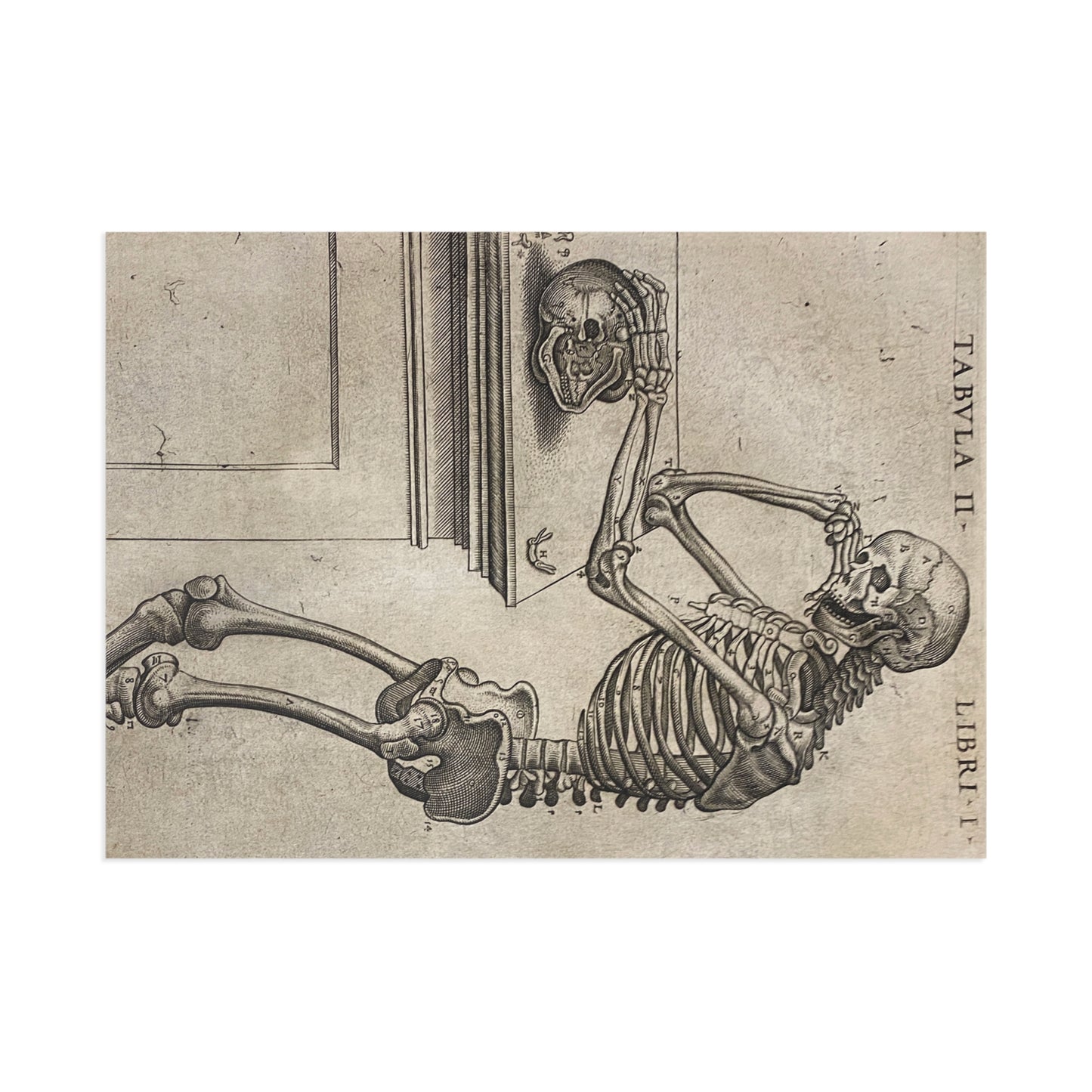 Humani corporis Postcard