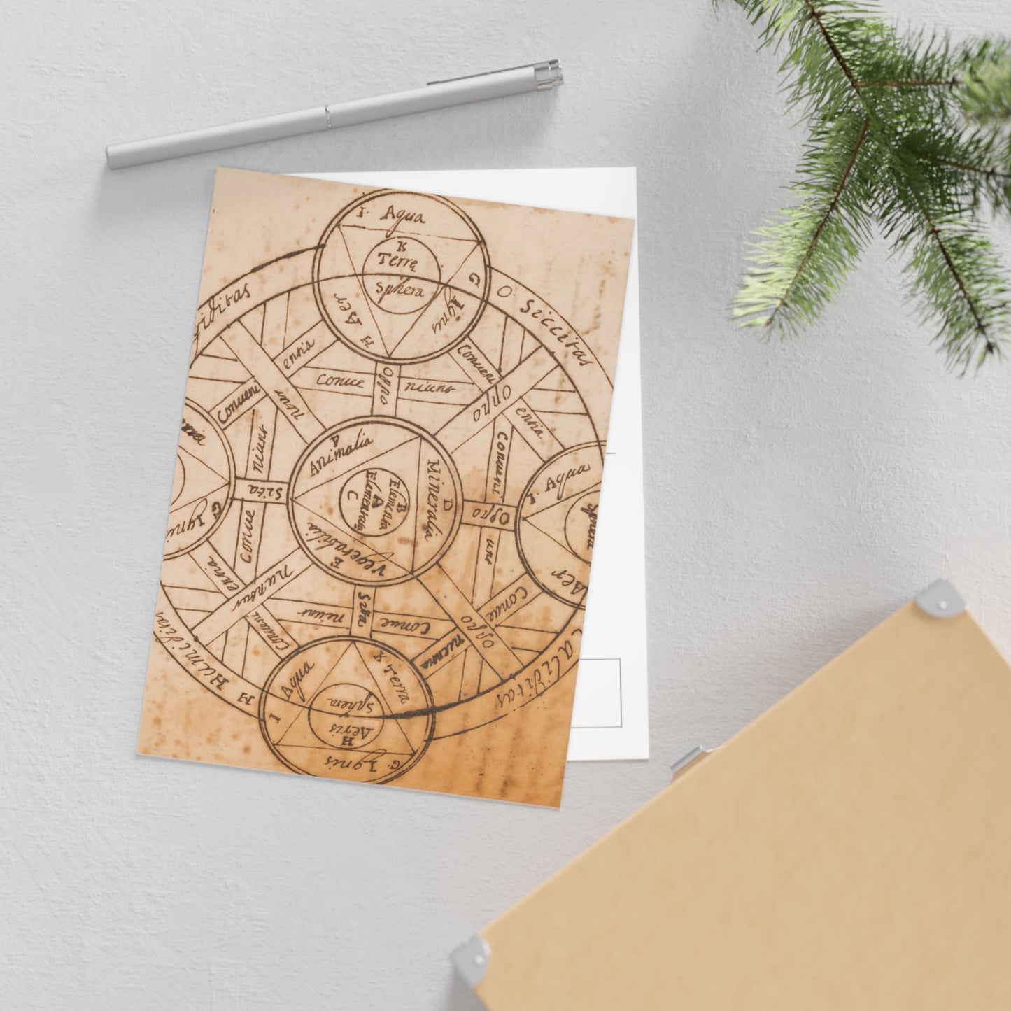 Alchemical Symbol Postcard