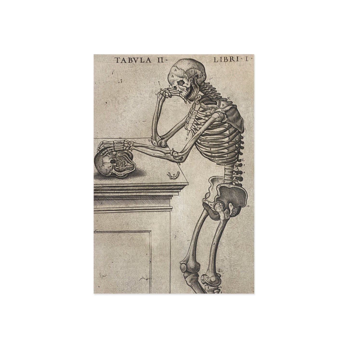 Humani corporis Postcard