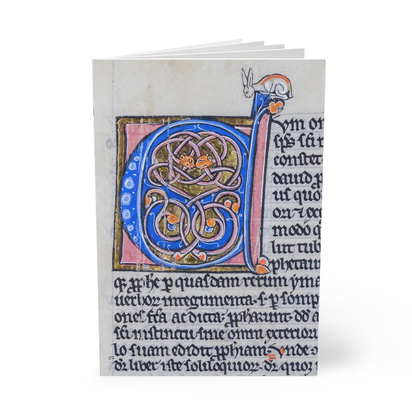 Illuminations Softcover Notebook