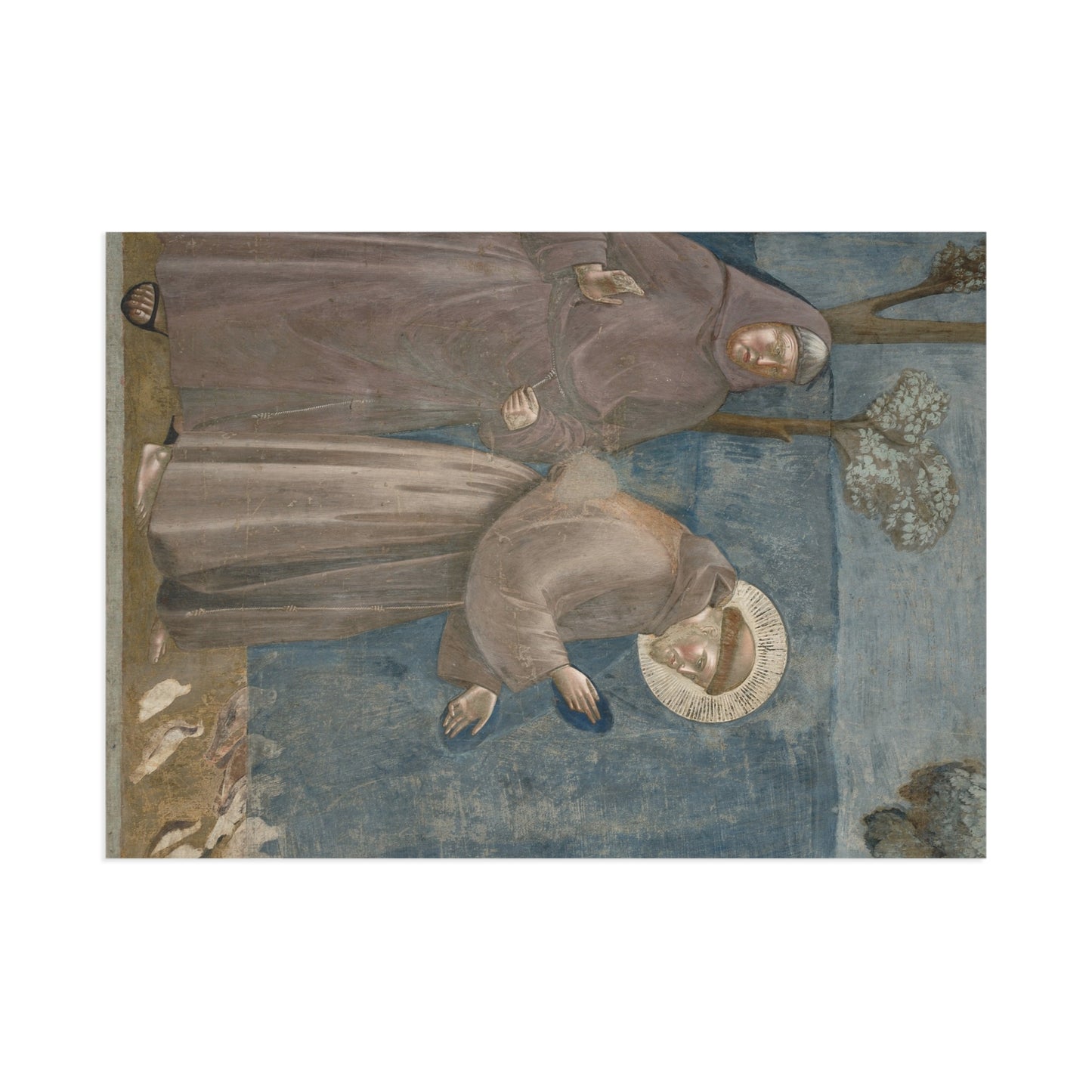 Giotto's Franciscan Legend Postcard