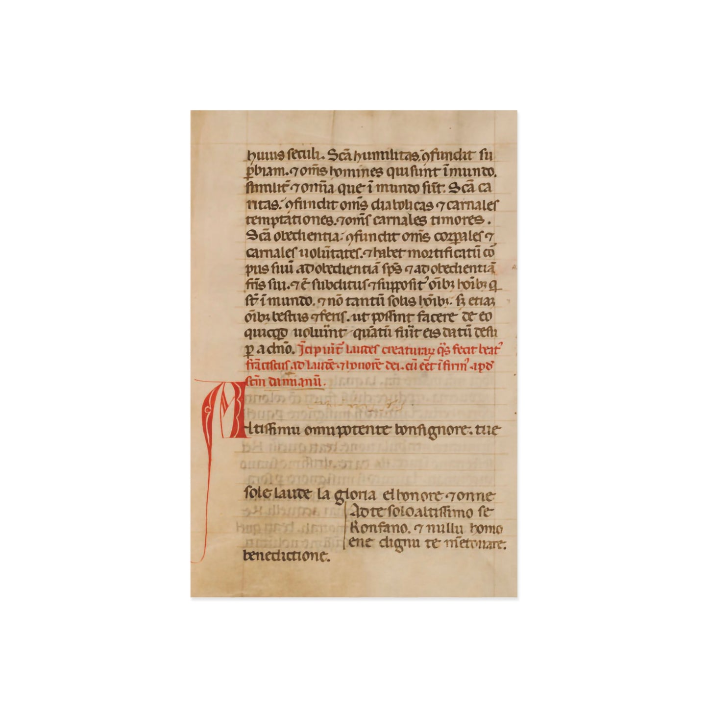 Beauty of the Canticle Postcard