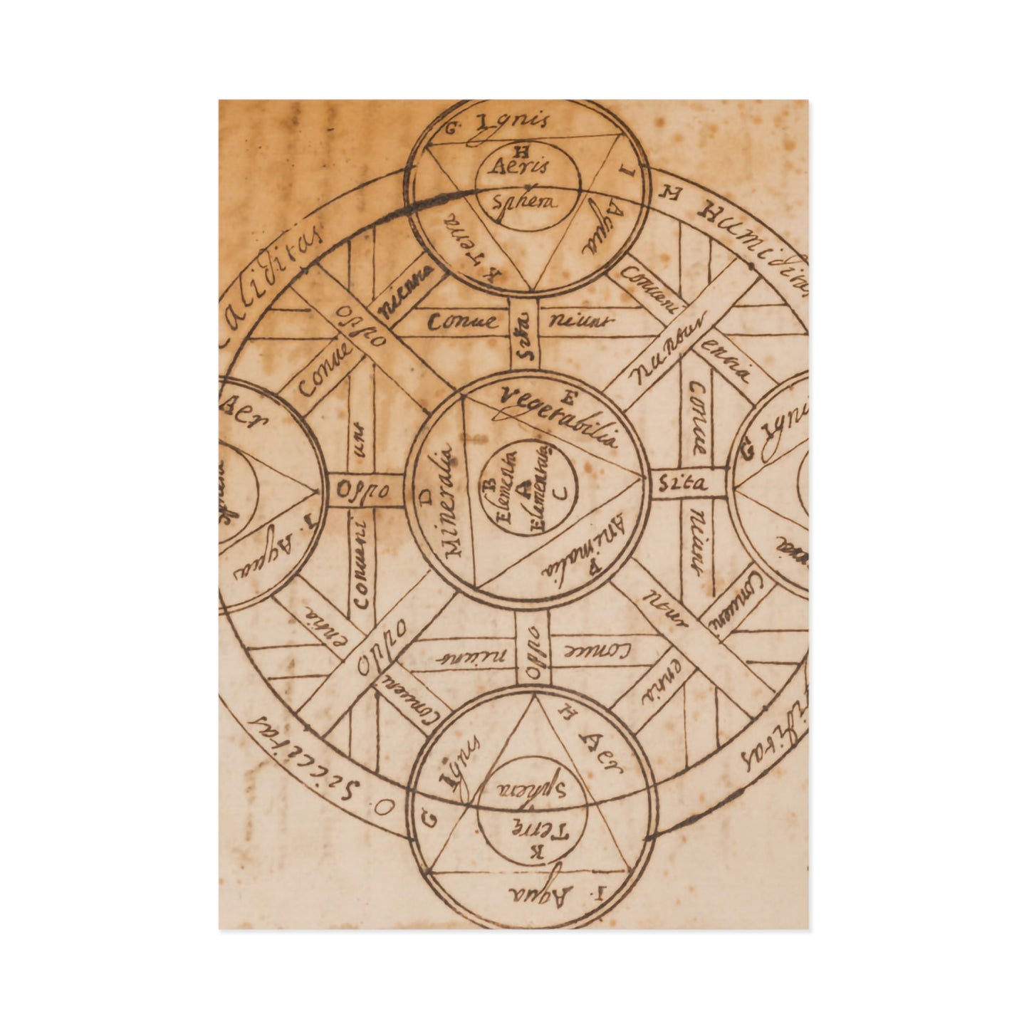 Alchemical Symbol Postcard