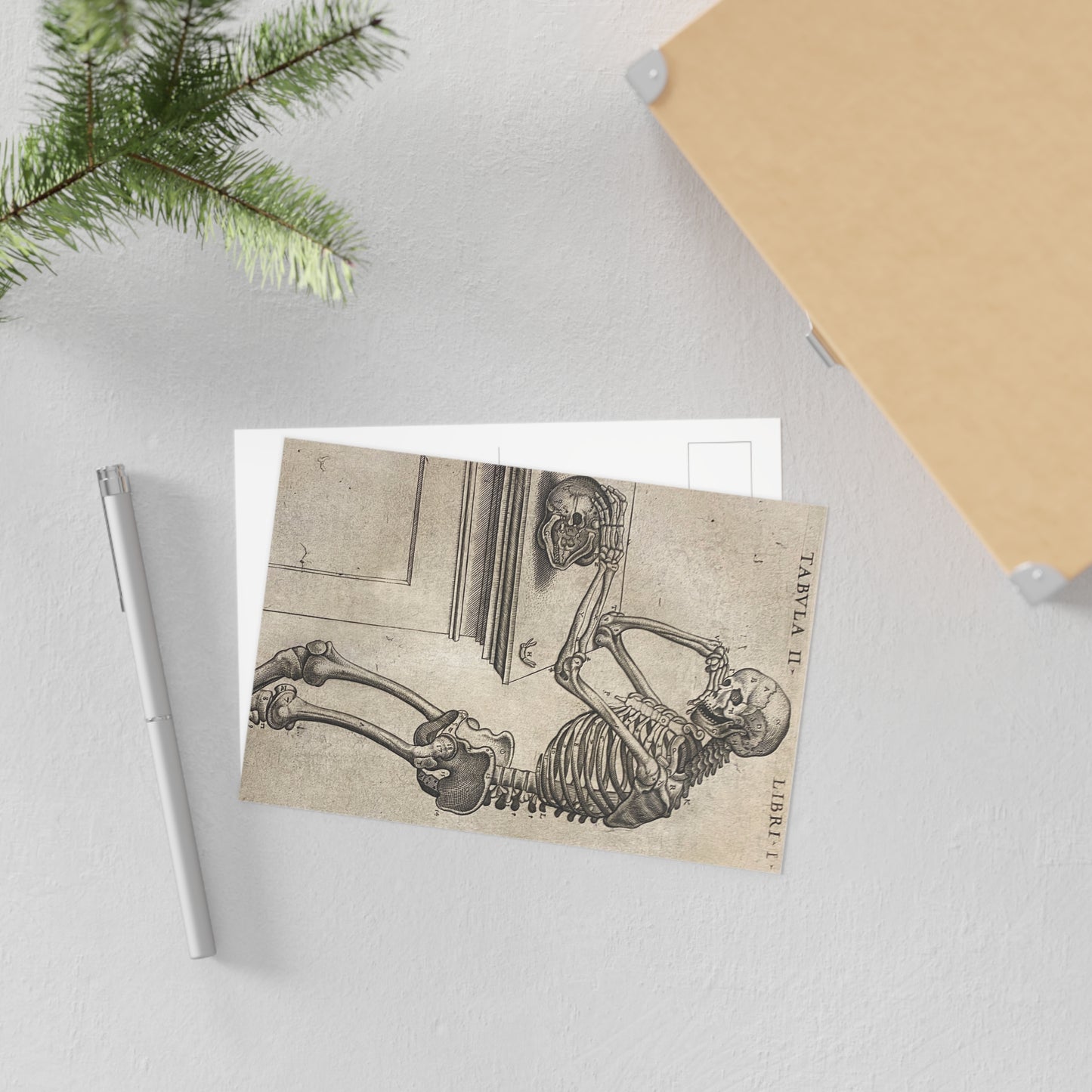 Humani corporis Postcard