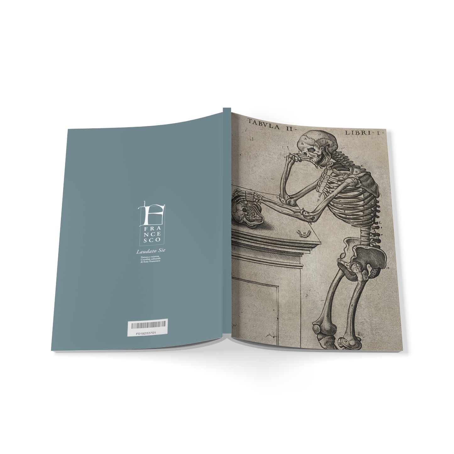 Humani corporis Softcover Notebook