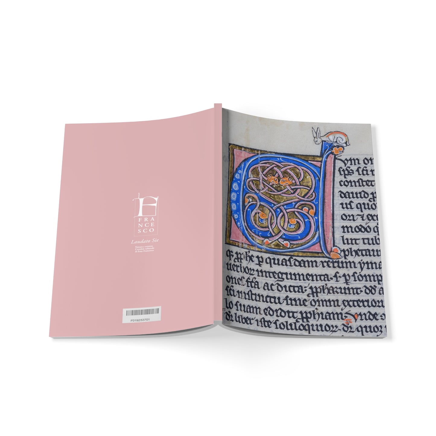 Illuminations Softcover Notebook