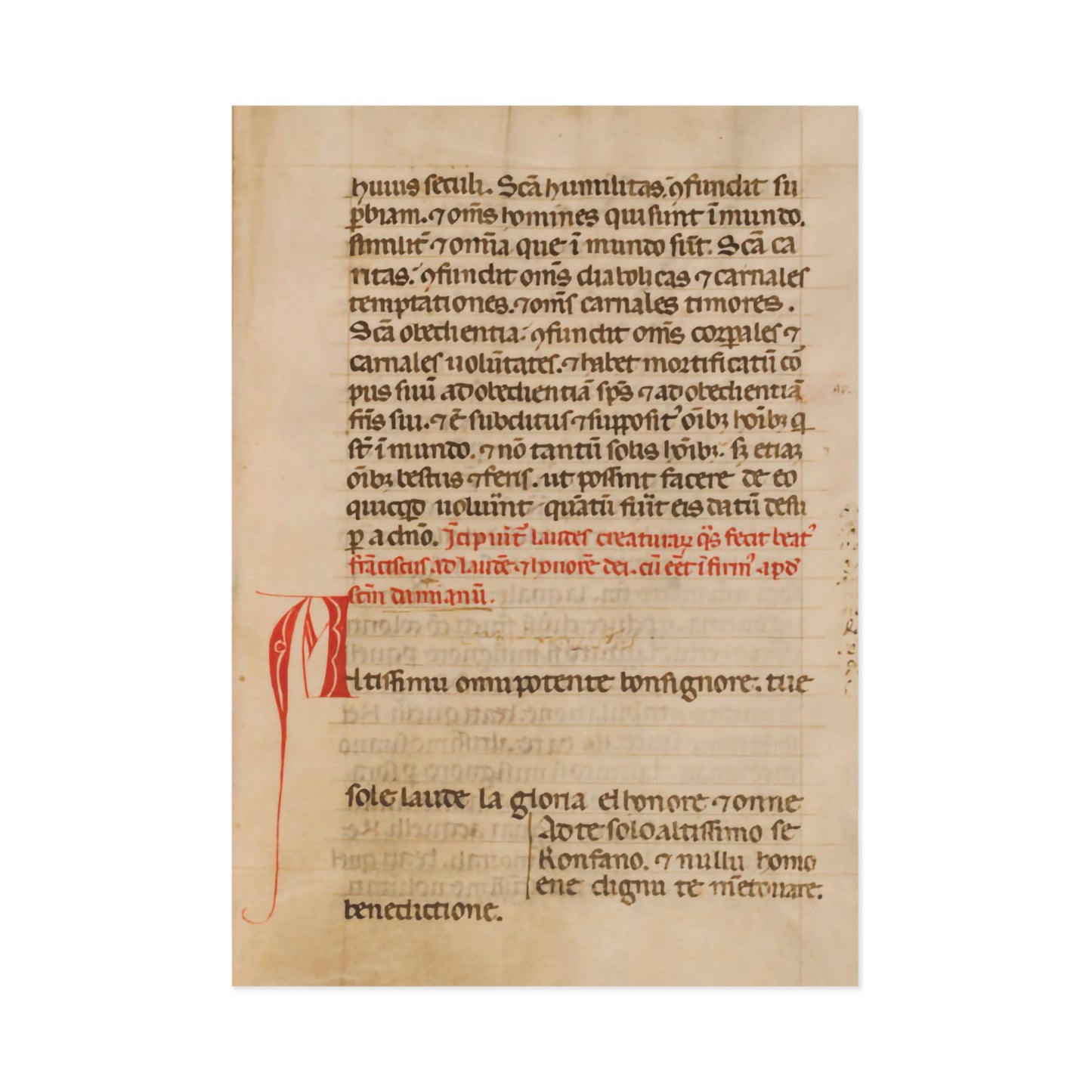 Beauty of the Canticle Postcard