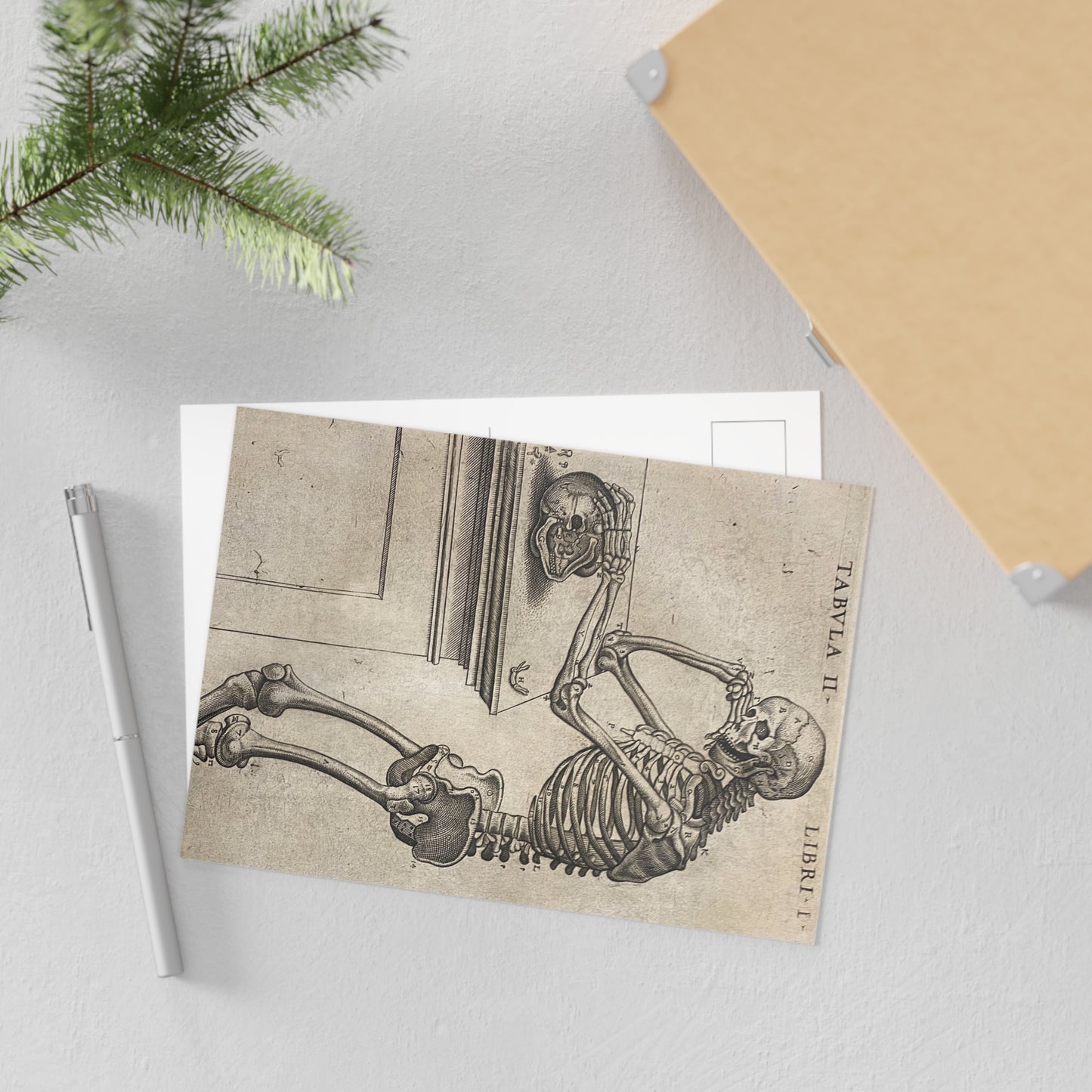 Humani corporis Postcard