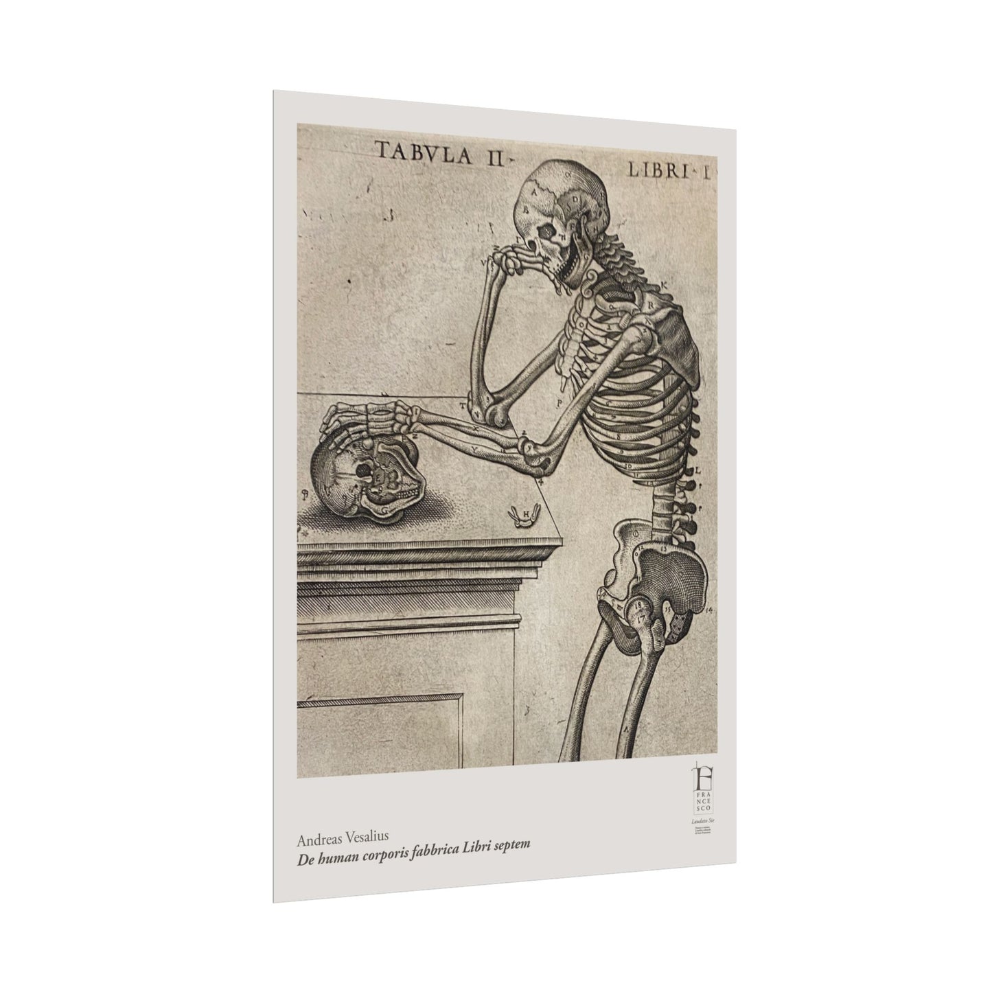 Humani corporis Poster