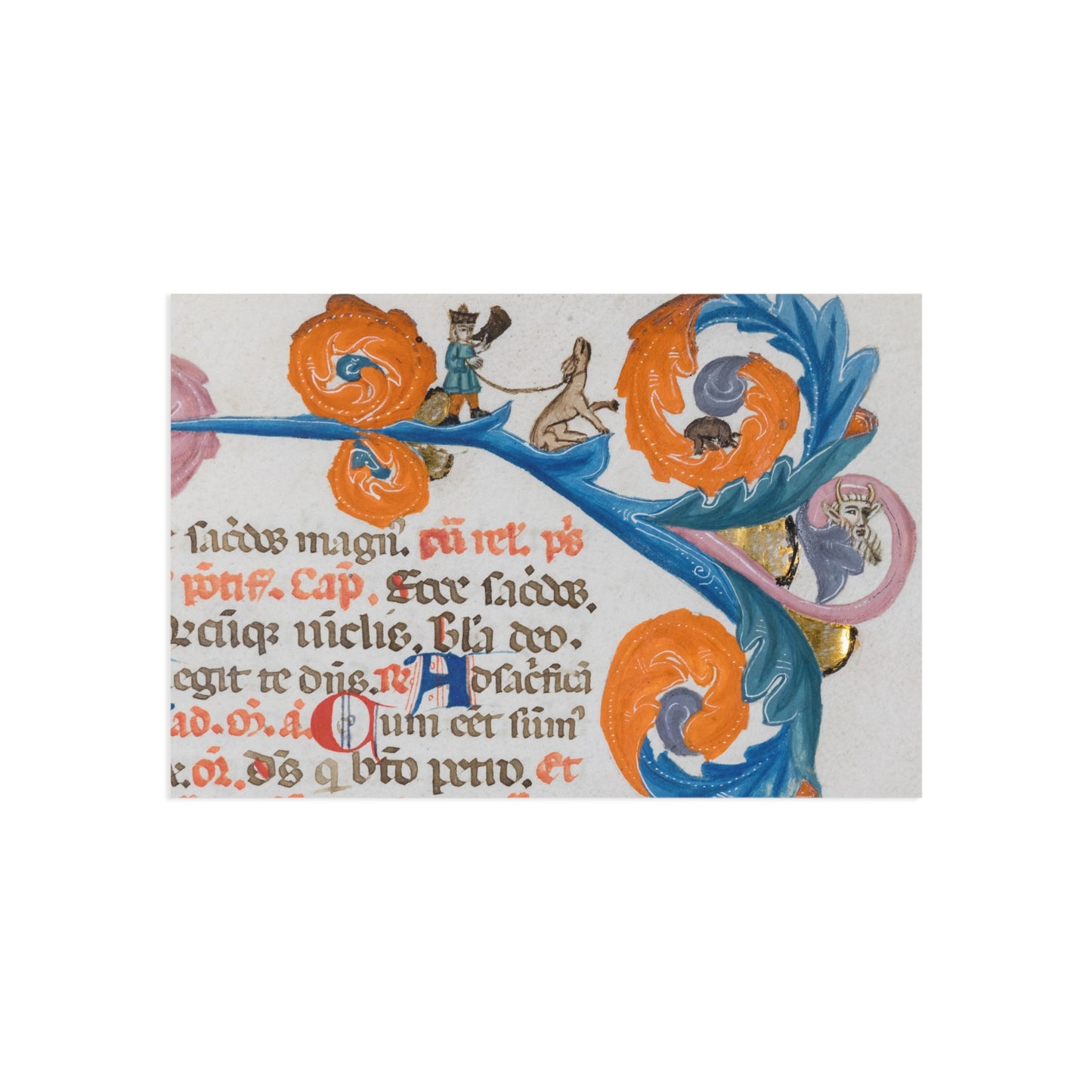 Hues of the Manuscripts Postcard