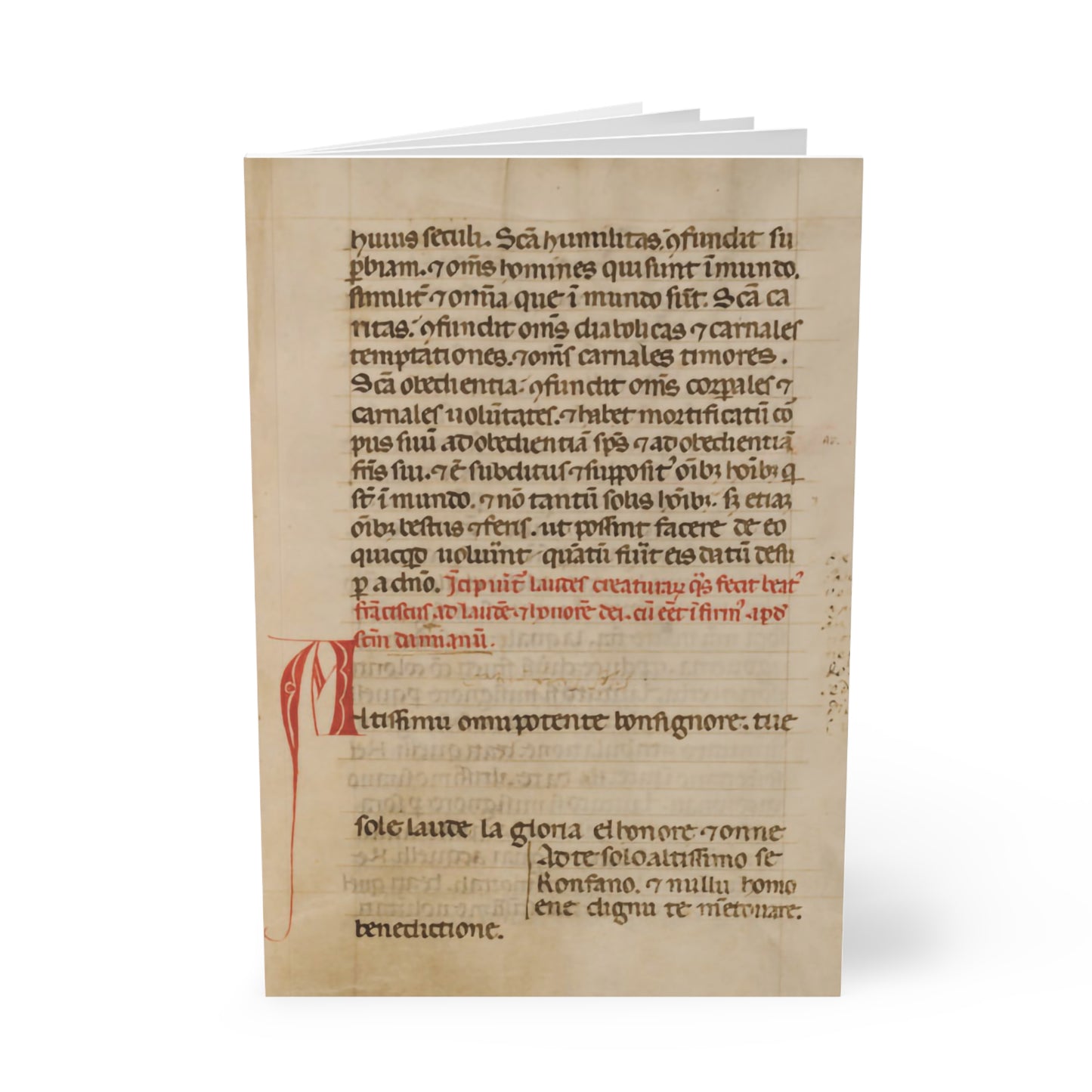 Beauty of the Canticle Notebook