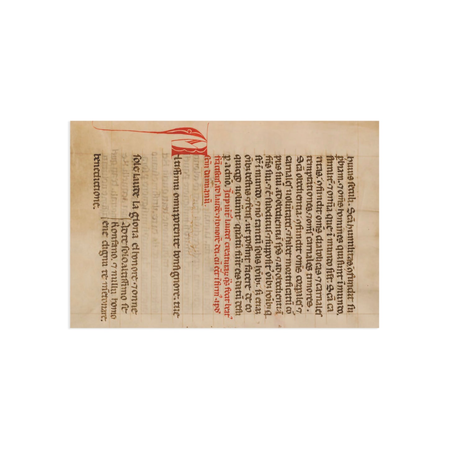 Beauty of the Canticle Postcard