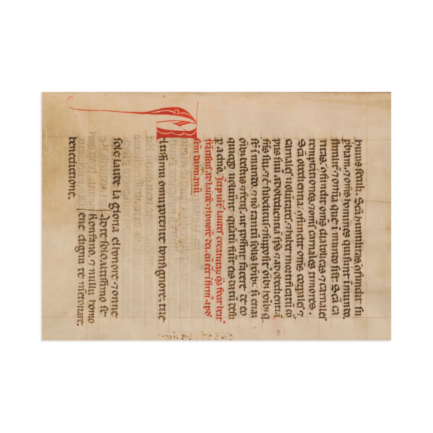 Beauty of the Canticle Postcard