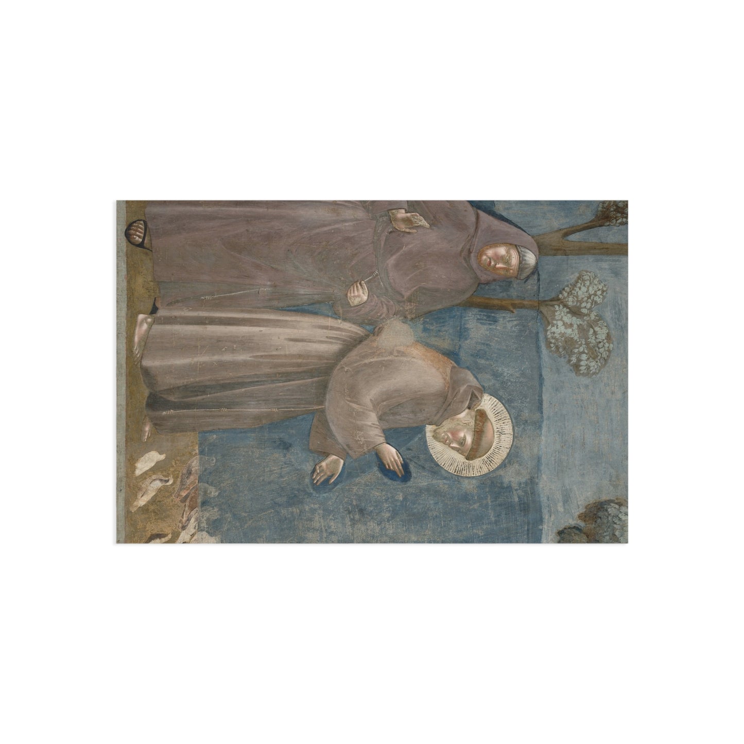 Giotto's Franciscan Legend Postcard