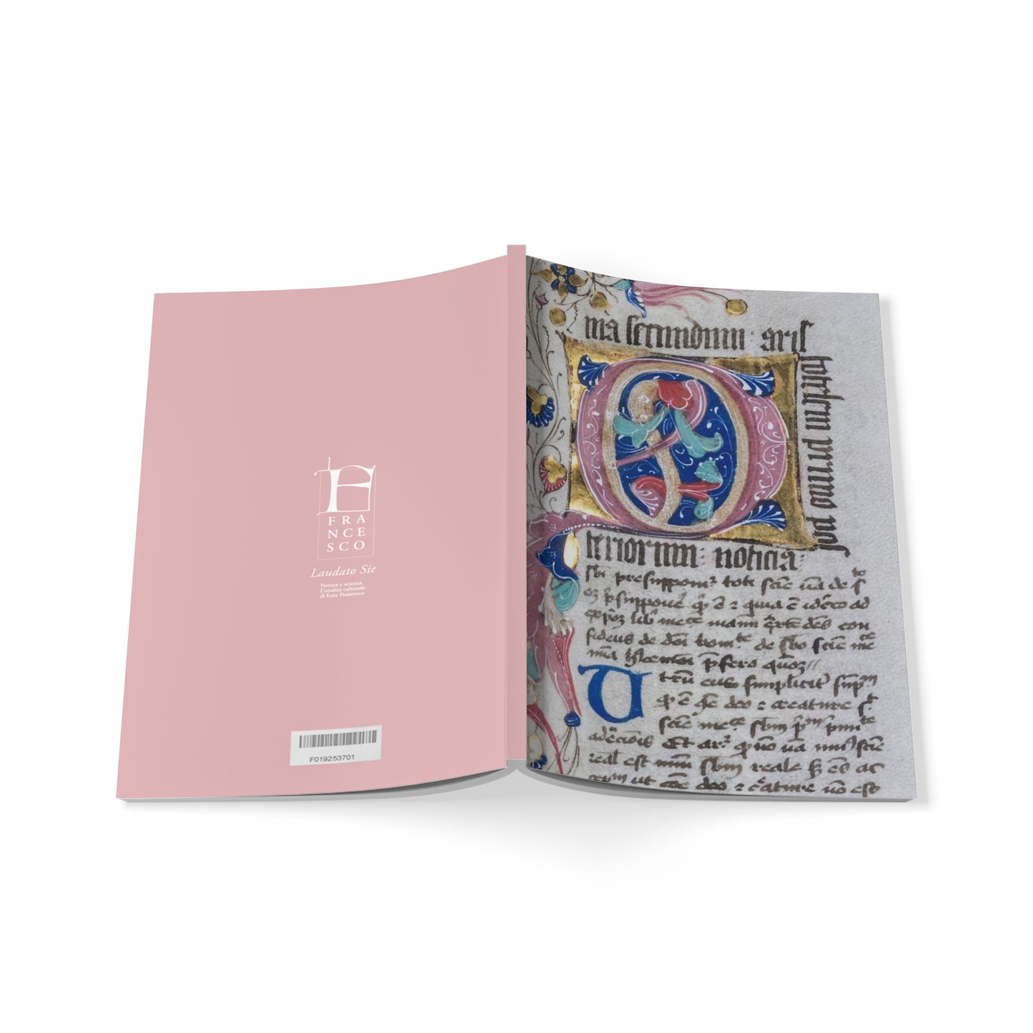 Beauty of the Manuscripts Softcover Notebook