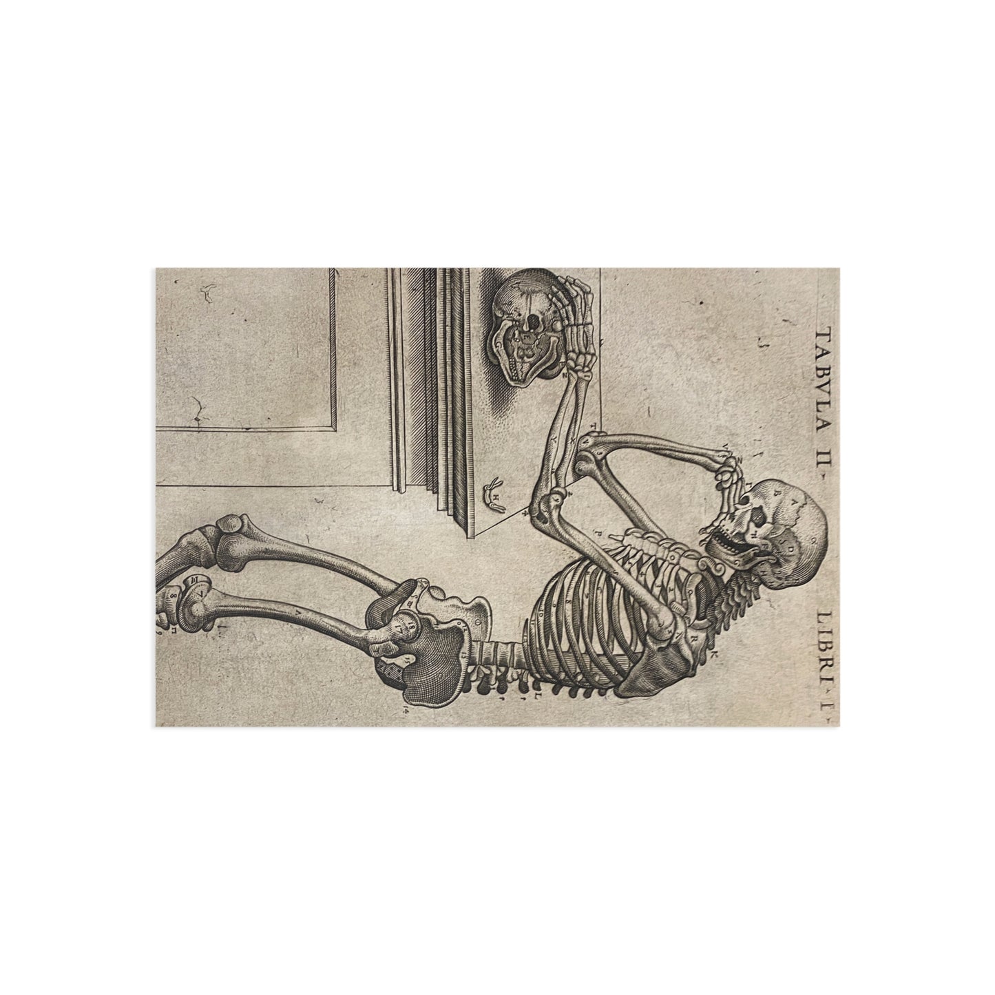 Humani corporis Postcard
