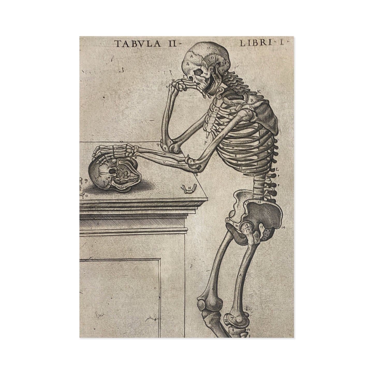 Humani corporis Postcard