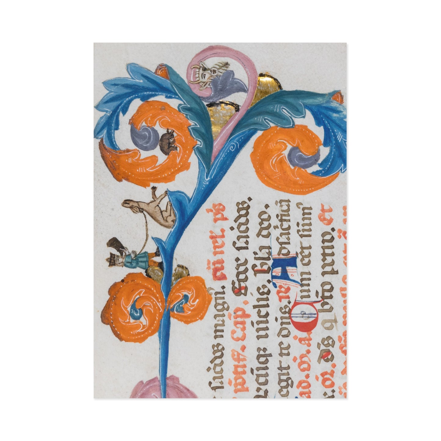 Hues of the Manuscripts Postcard
