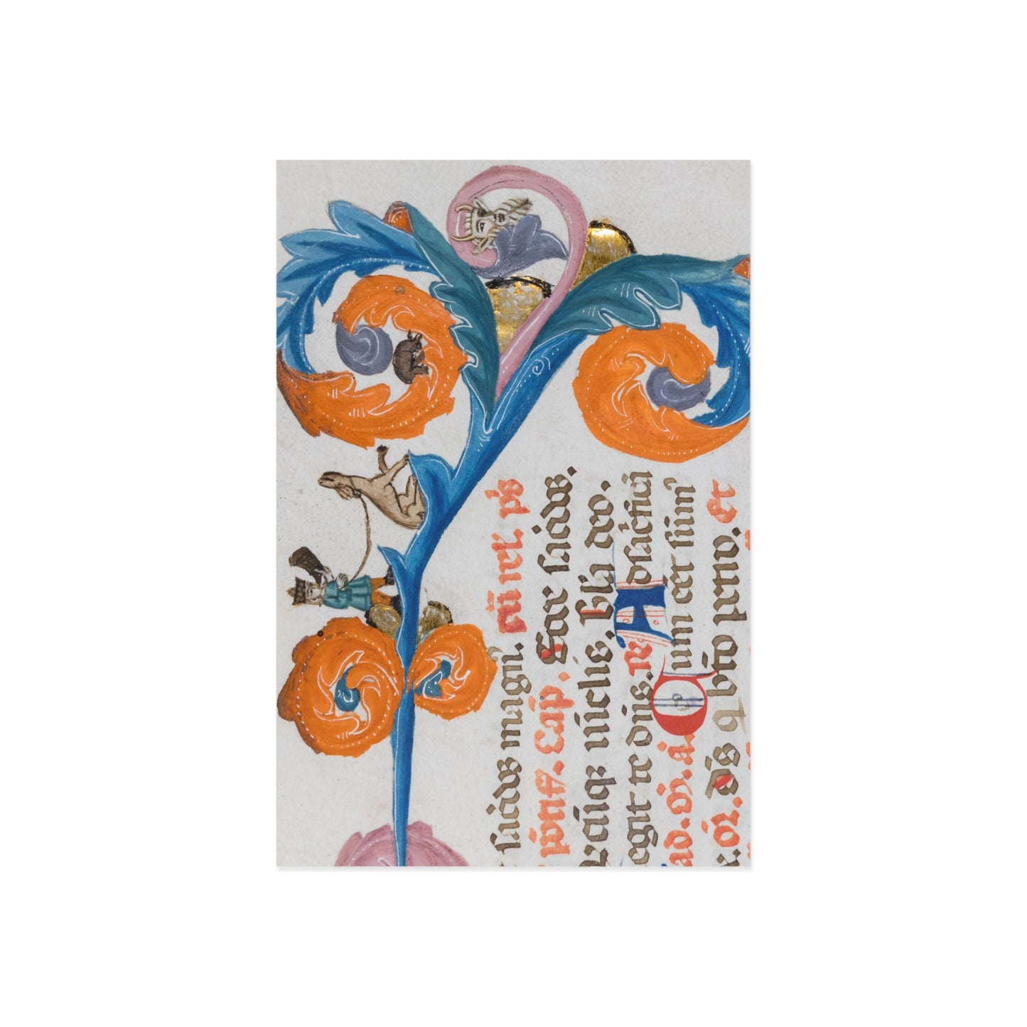 Hues of the Manuscripts Postcard
