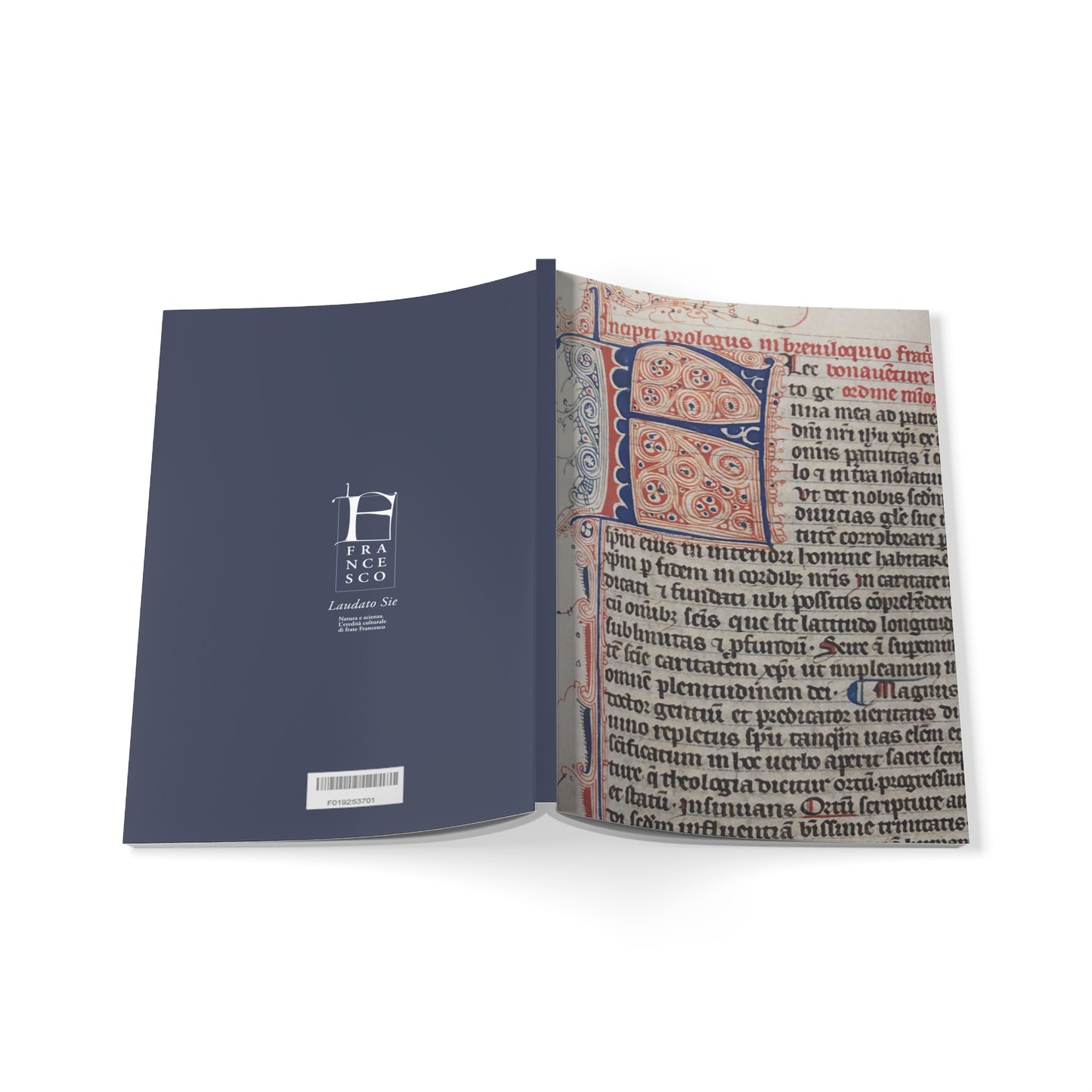 "The Breviloquium" Softcover Notebook