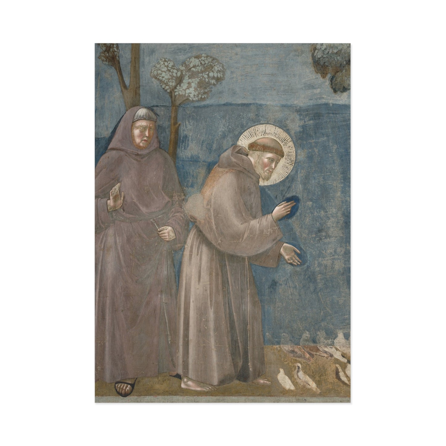 Cartolina con la leggenda francescana di Giotto